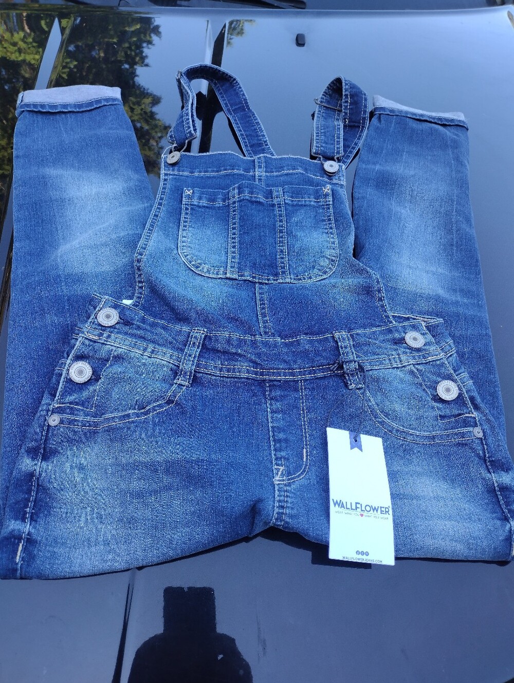 Wallflower Faded Blue Denim Bib Overalls